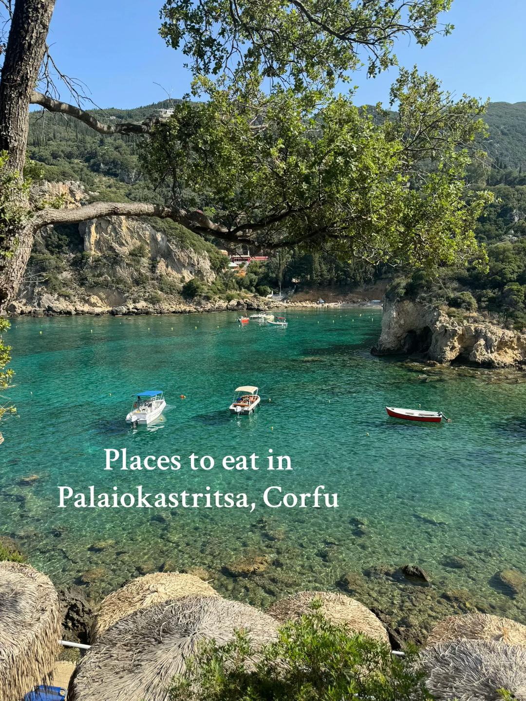 @Katie🏝️🐢🐠🐙