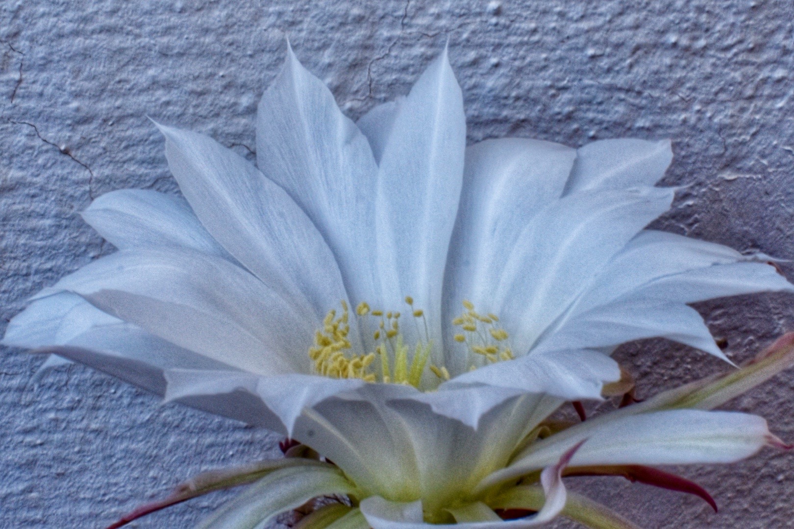 @havr-photo.picfair.com