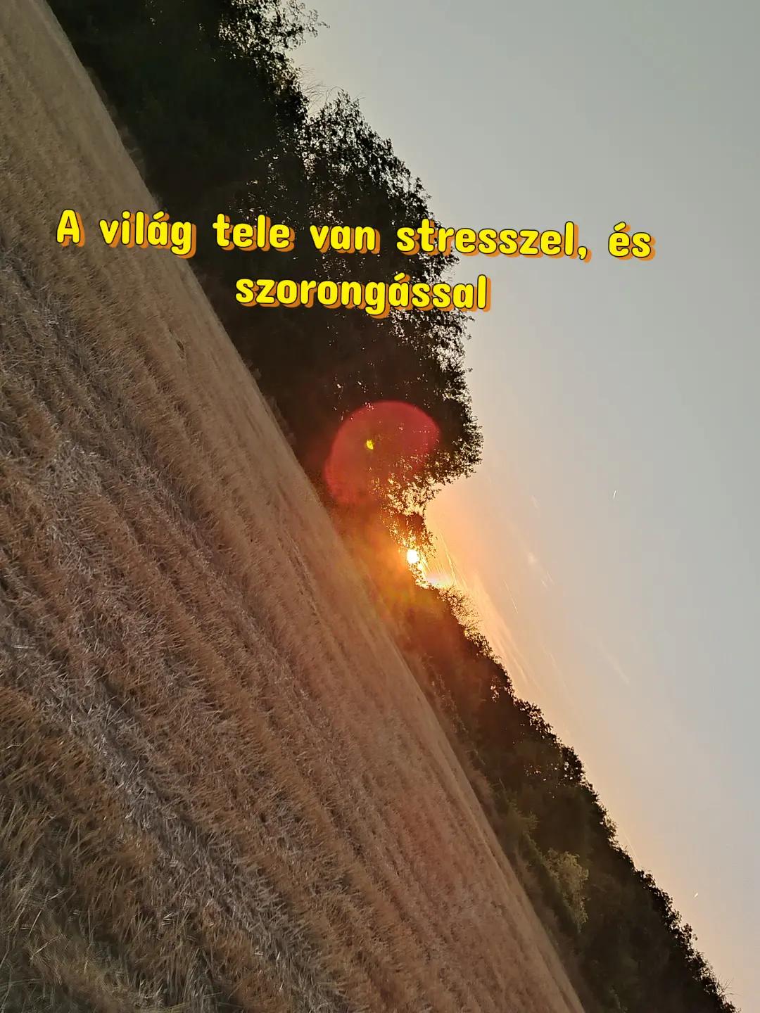 @🍀❤ 𝔄𝔫𝔡𝔦 ❤🍀