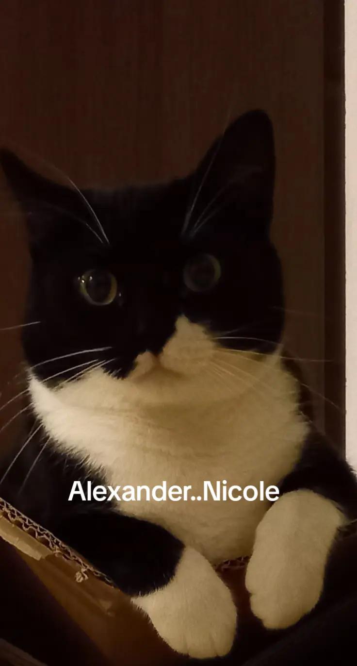 @Alexander..Nicole