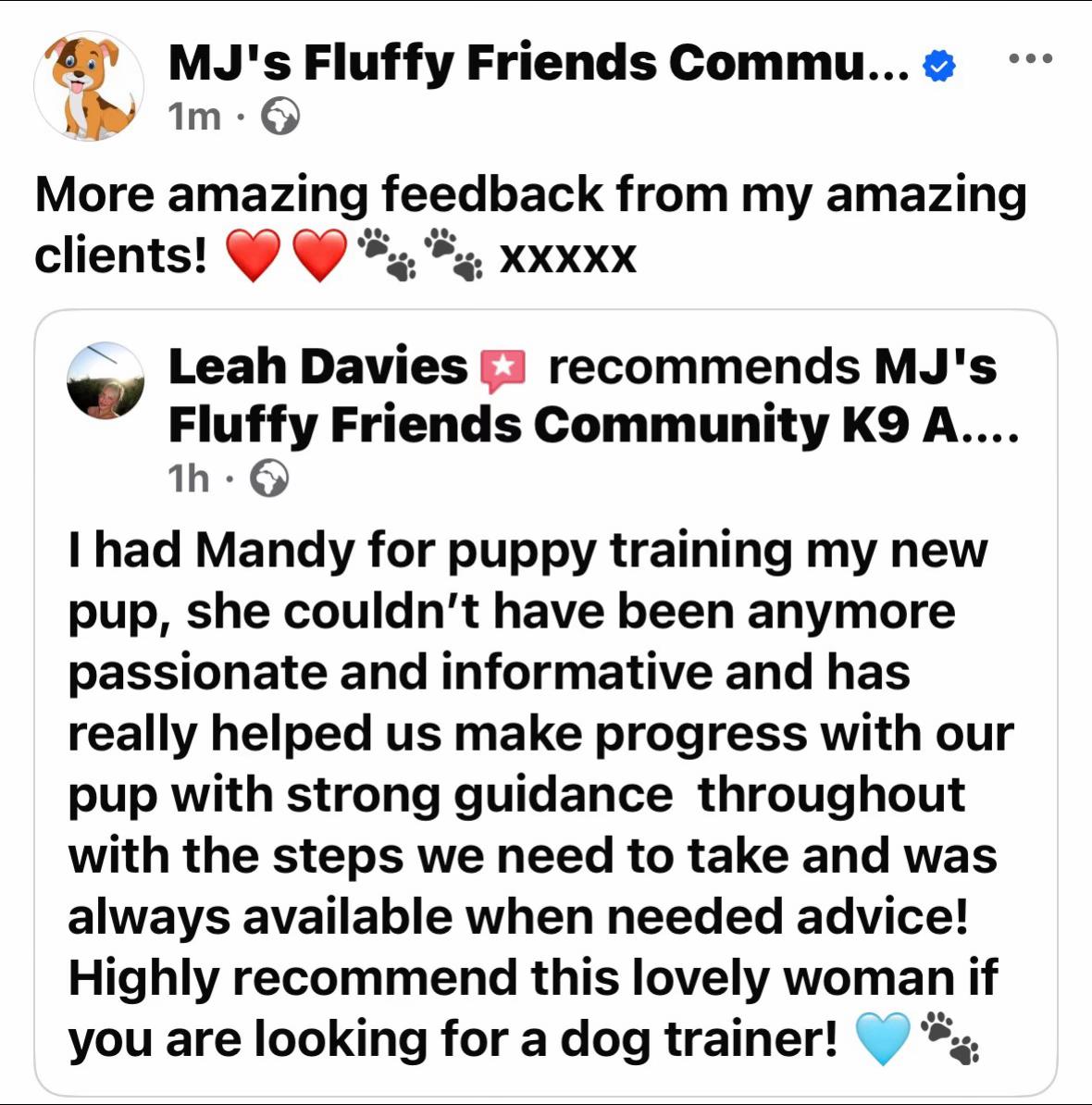 @Mandy Jo MJ’s Fluffy Friends