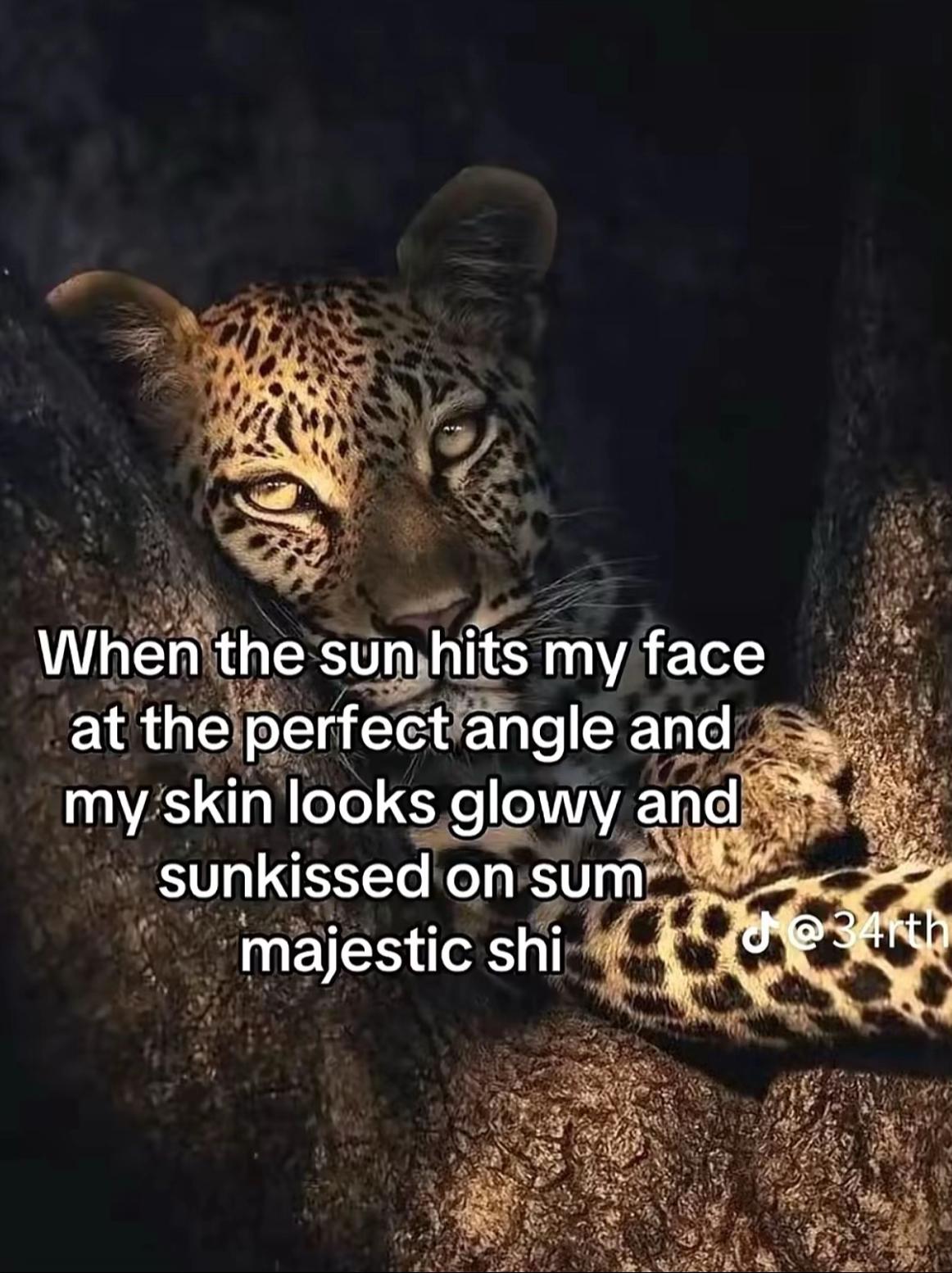 @4yanaaa.a