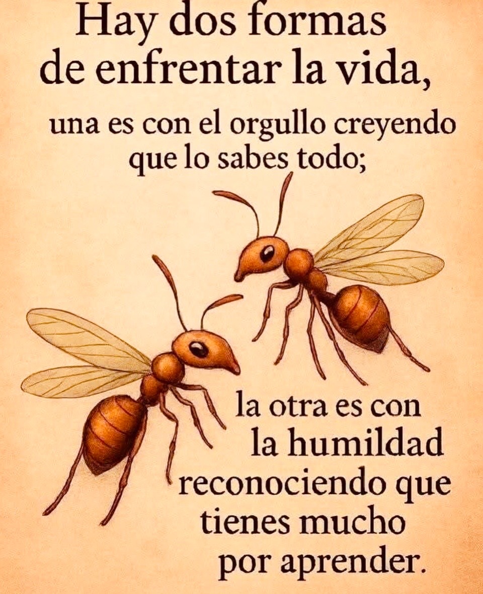@brujiarcos