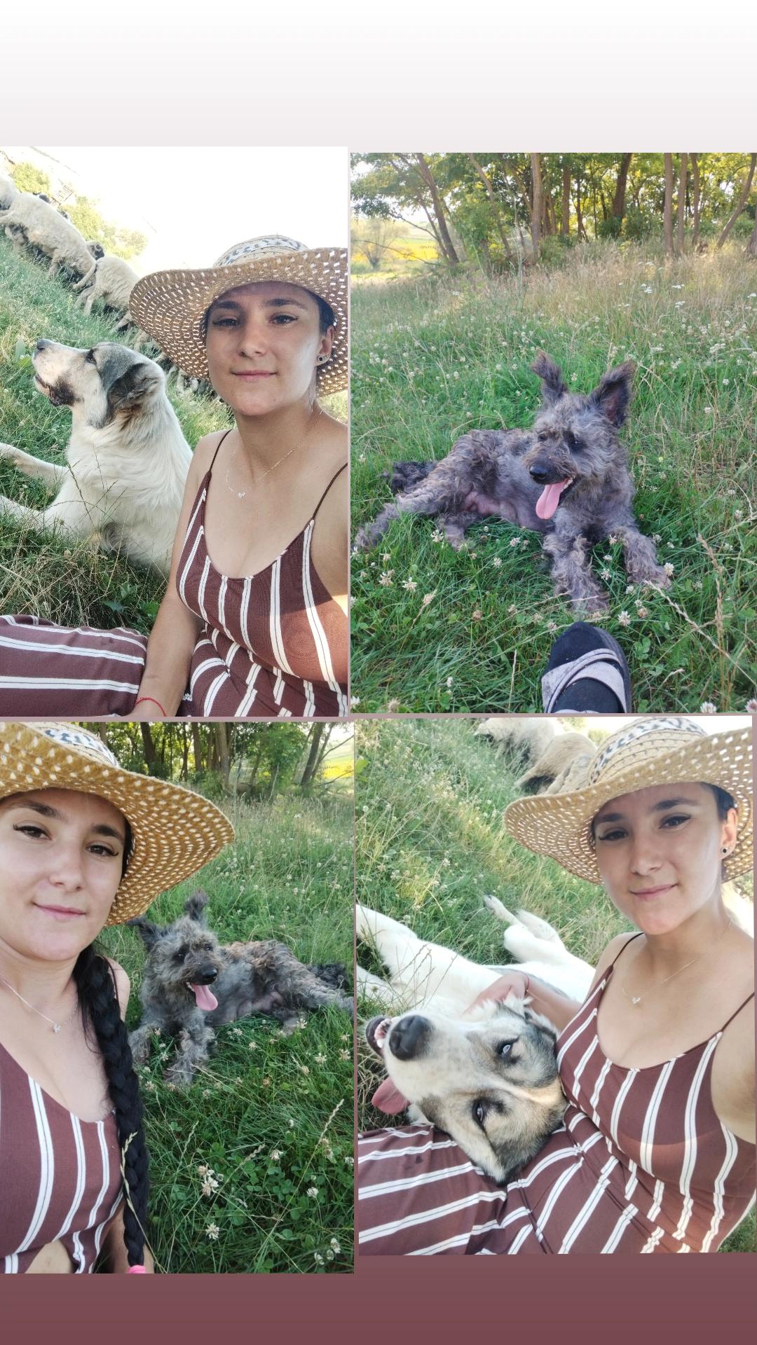 @Raluca Chiorean💜