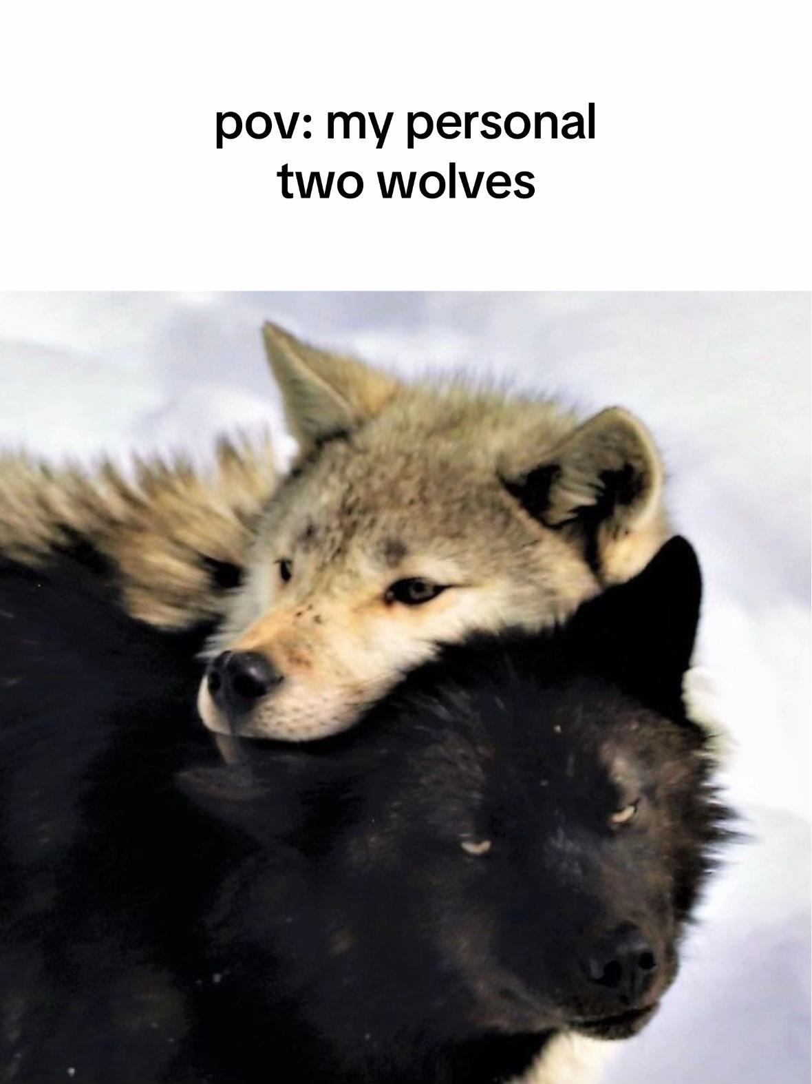 @𝖻𝗎𝗇𝗇𝗒 ⚢