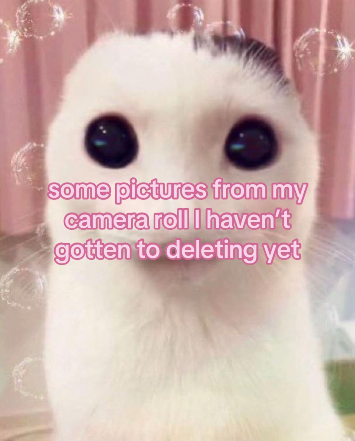 @๐ซ๐sophs*๐๐