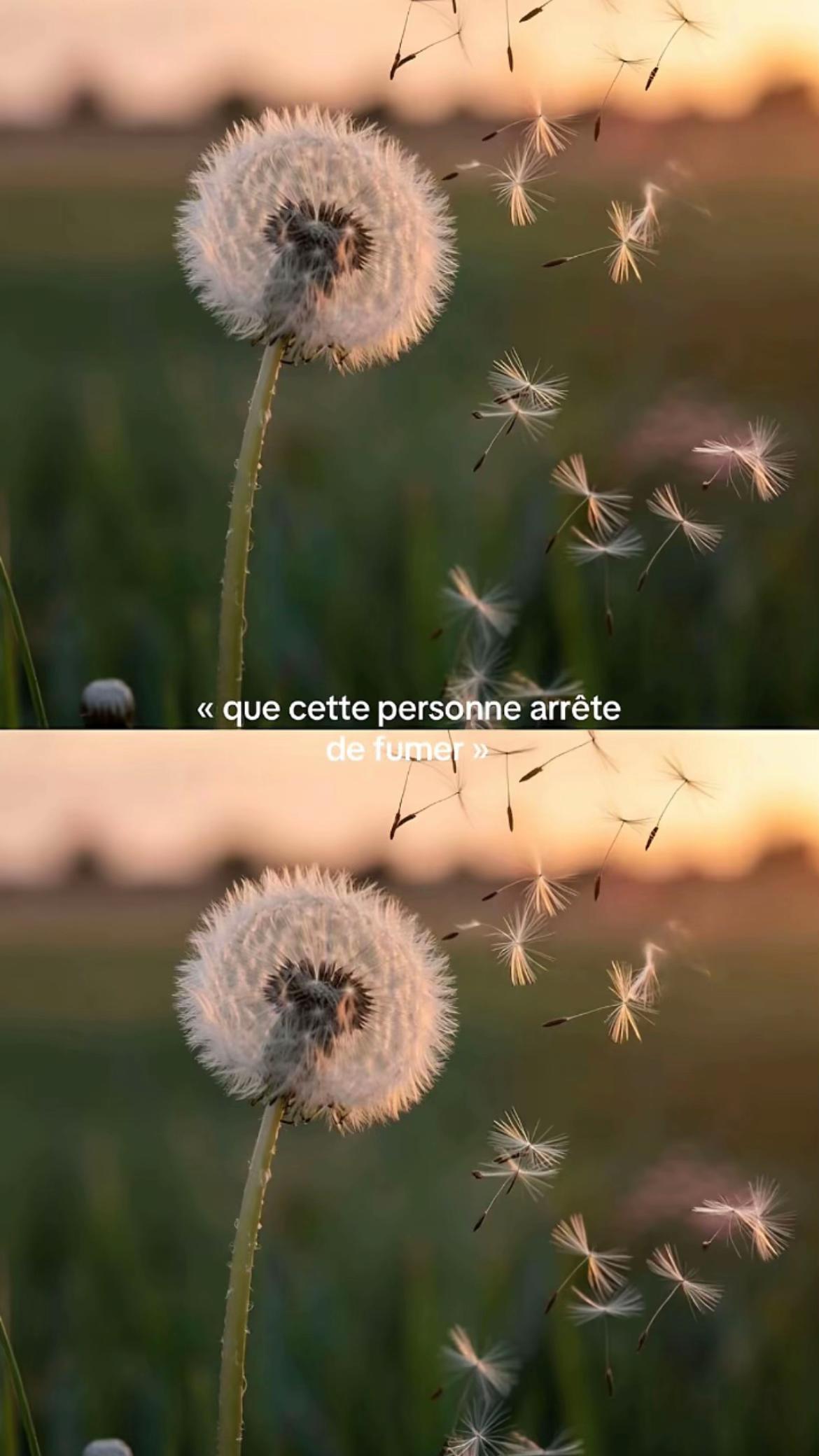 @M🌺