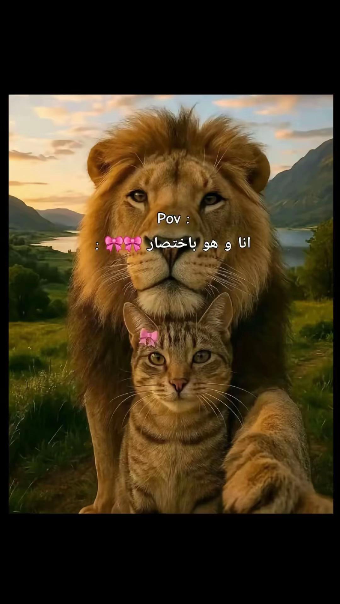 @🥰Niña rubia 👱♀️