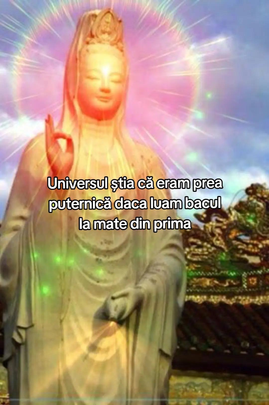 @kiki⁷