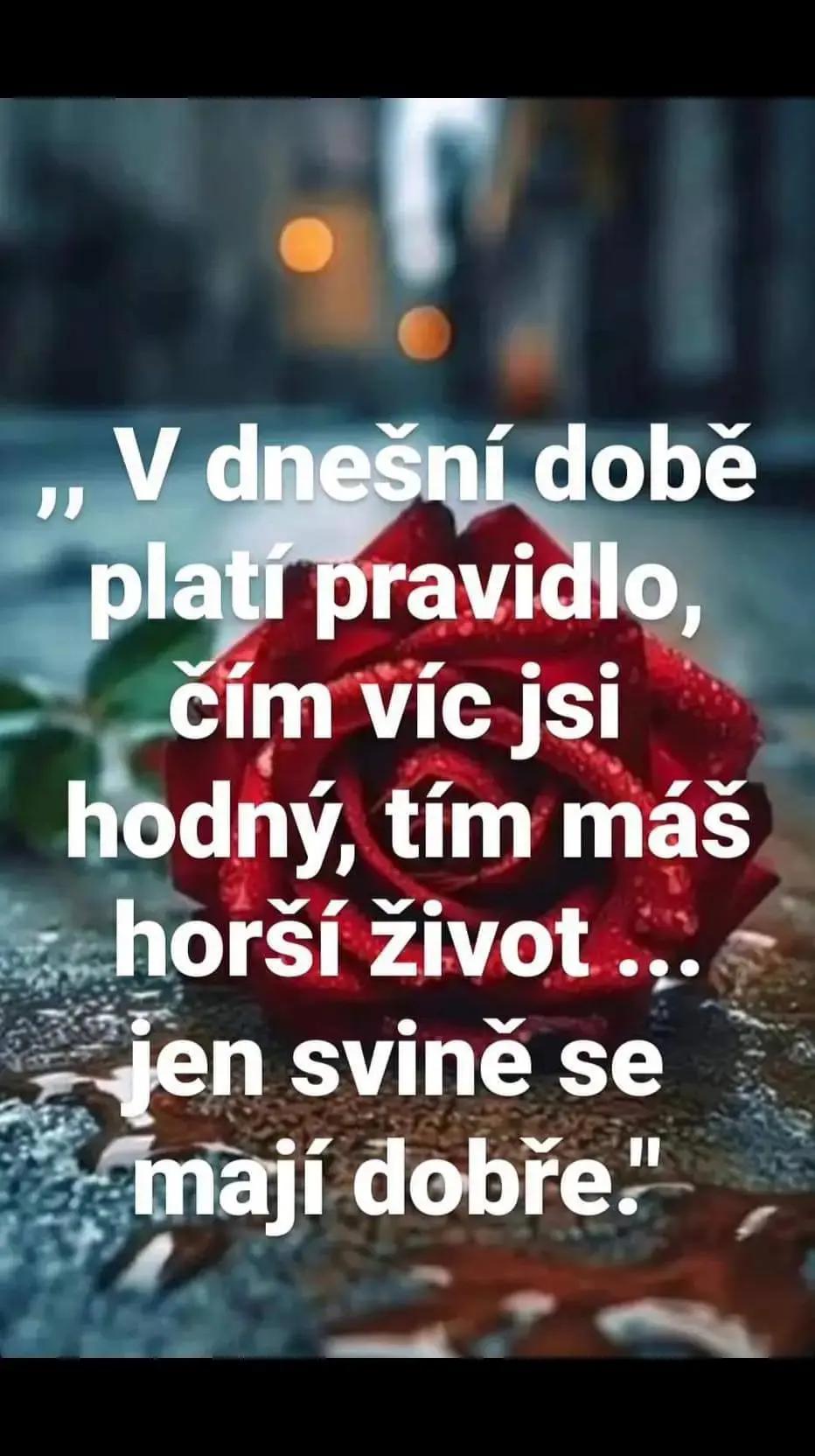 @⚕️Ladislav_official⚕️