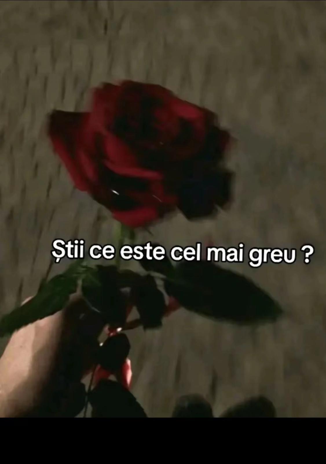 @melody_de_suflet1