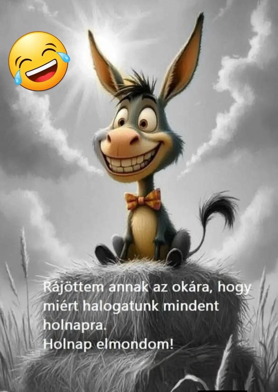 @Krisztinakisfalvi