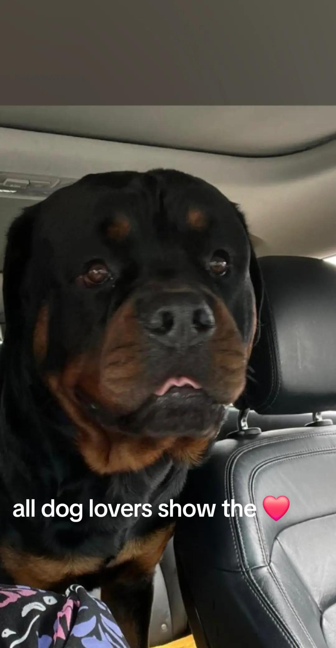 @Reggie the Rott