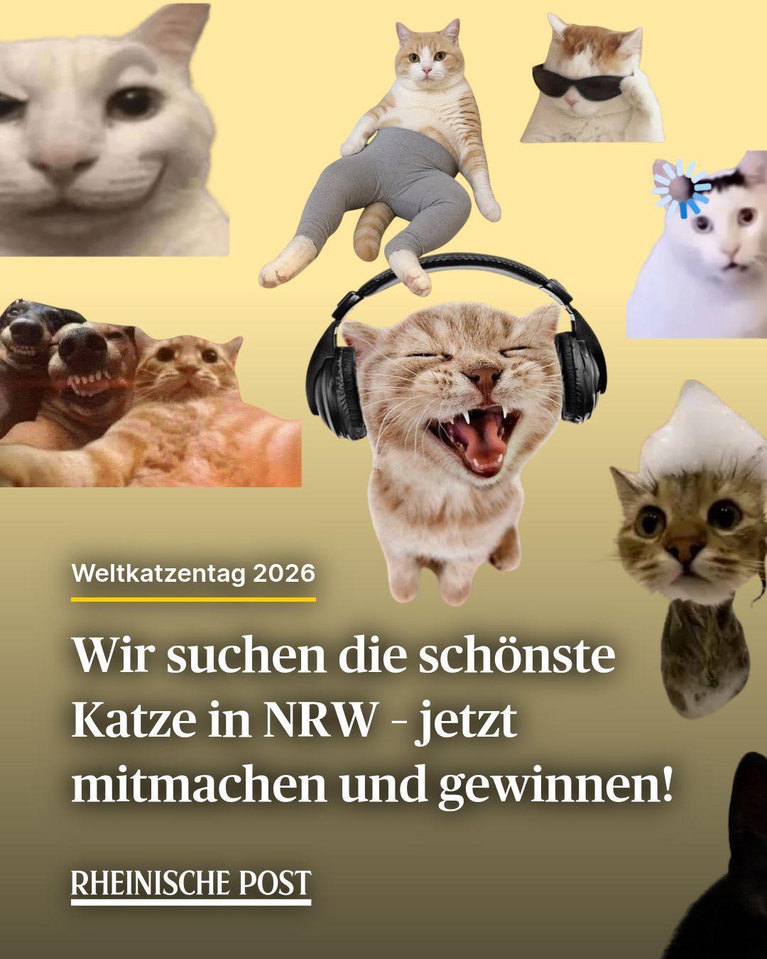 @Rheinische Post | RP