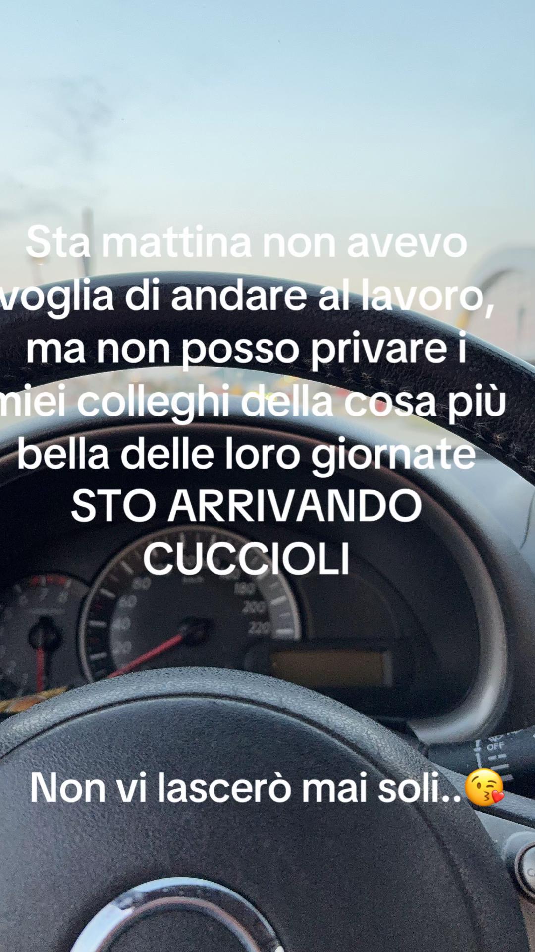 @merigrosso