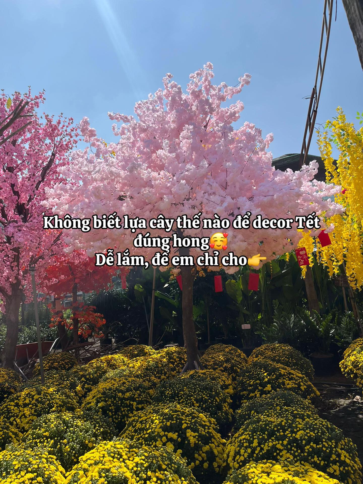 @S&agrave;i G&ograve;n Hoa