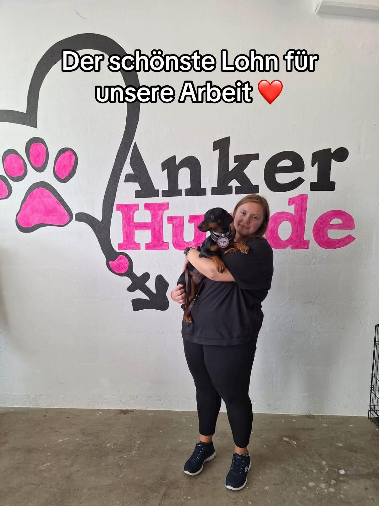 @Ankerhunde e.V.