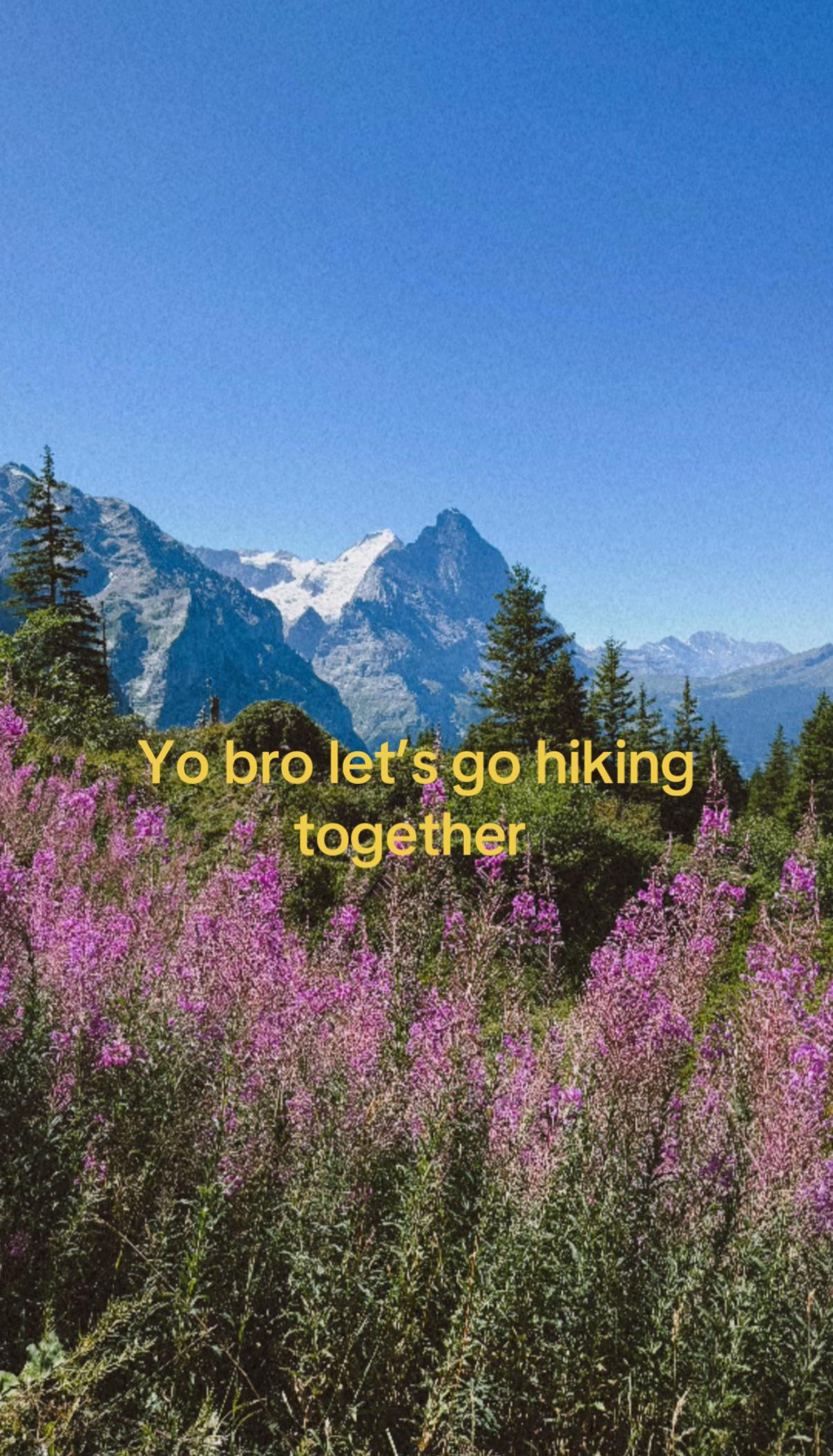 @Vinchik🏔️