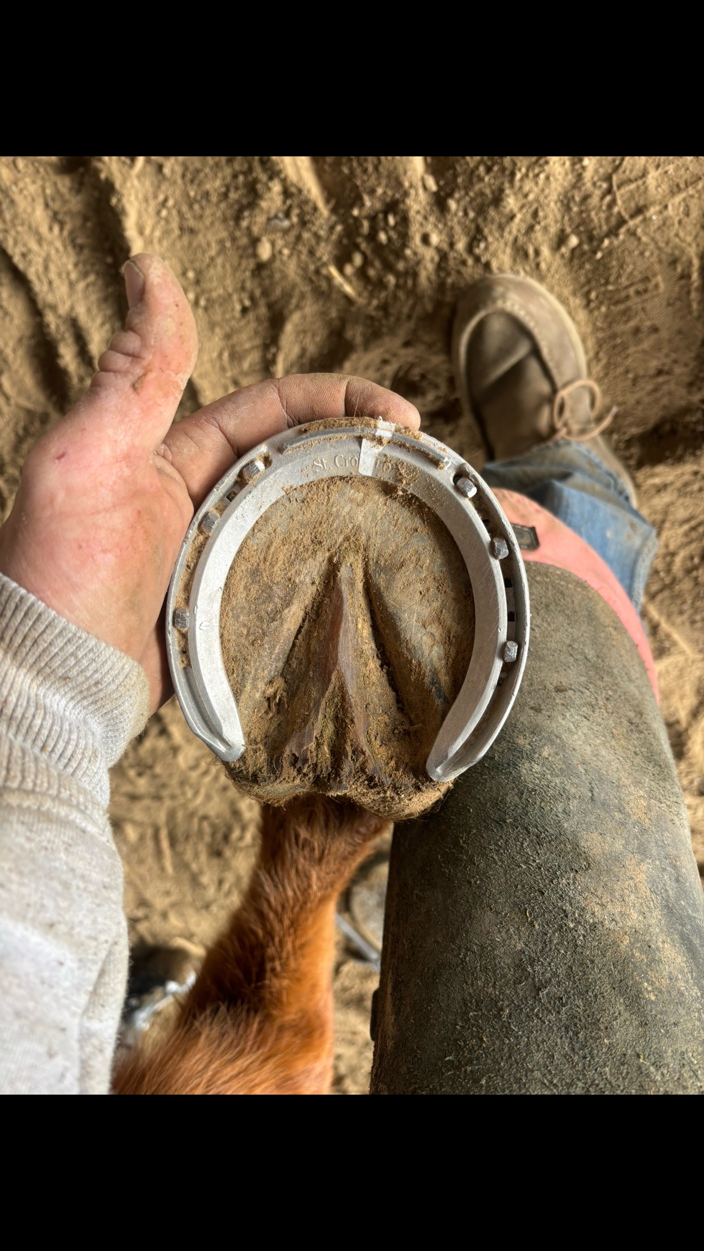 @bar_diamond_farrier
