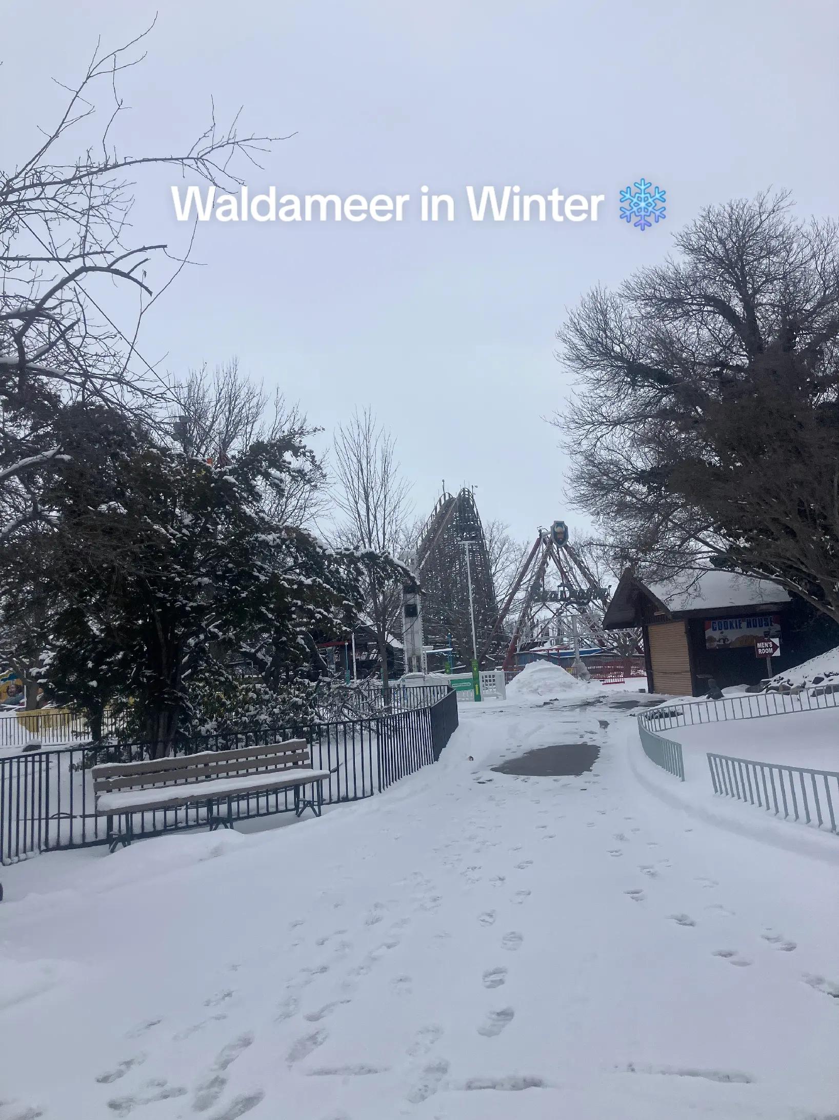 @waldameer_glazer