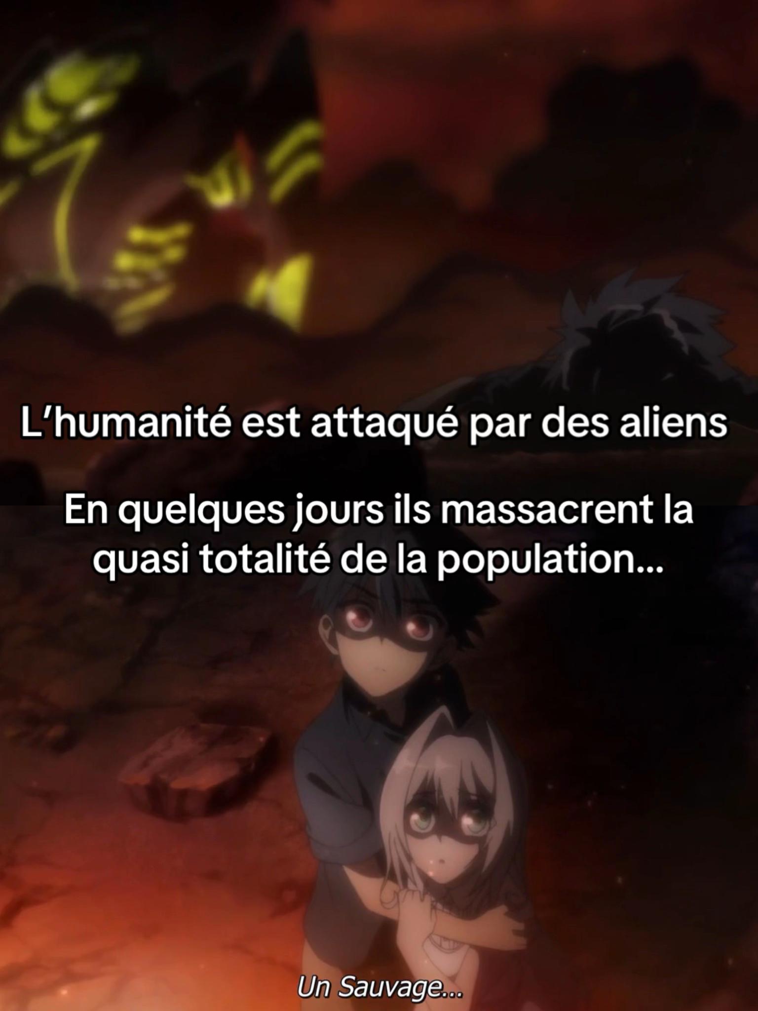 @Animecrew