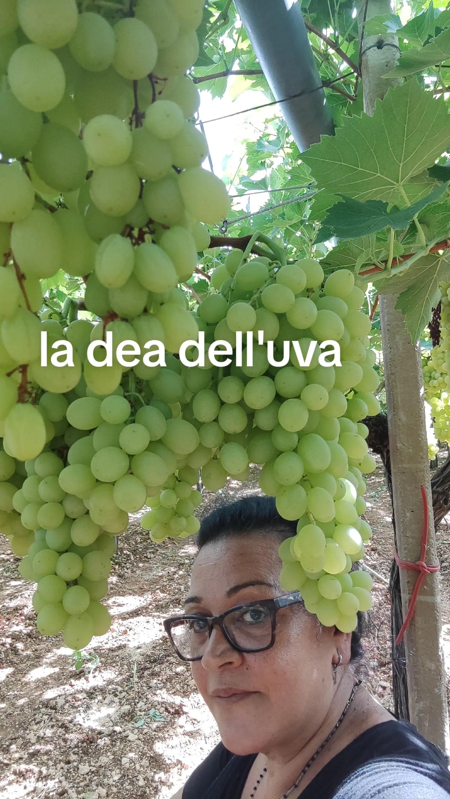 @Orietta Carriere