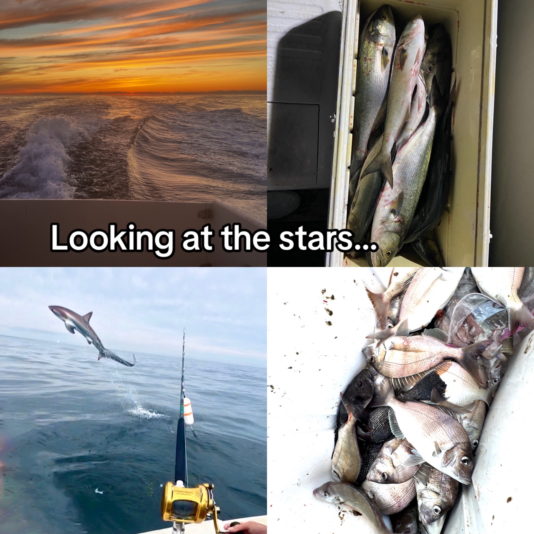 @Long Island Sound Fishing 🐟