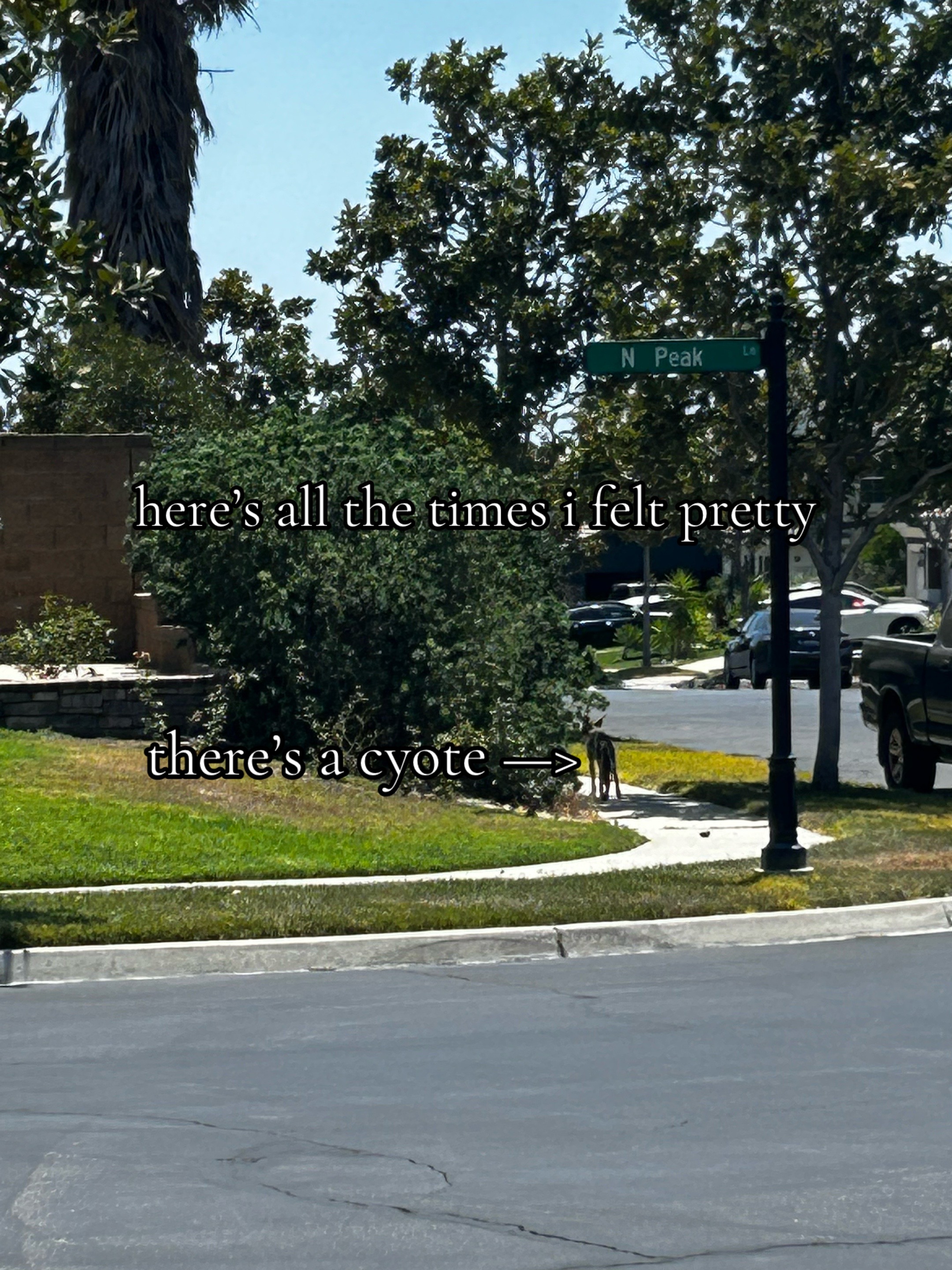 @𝒜𝓇𝑒𝓃
