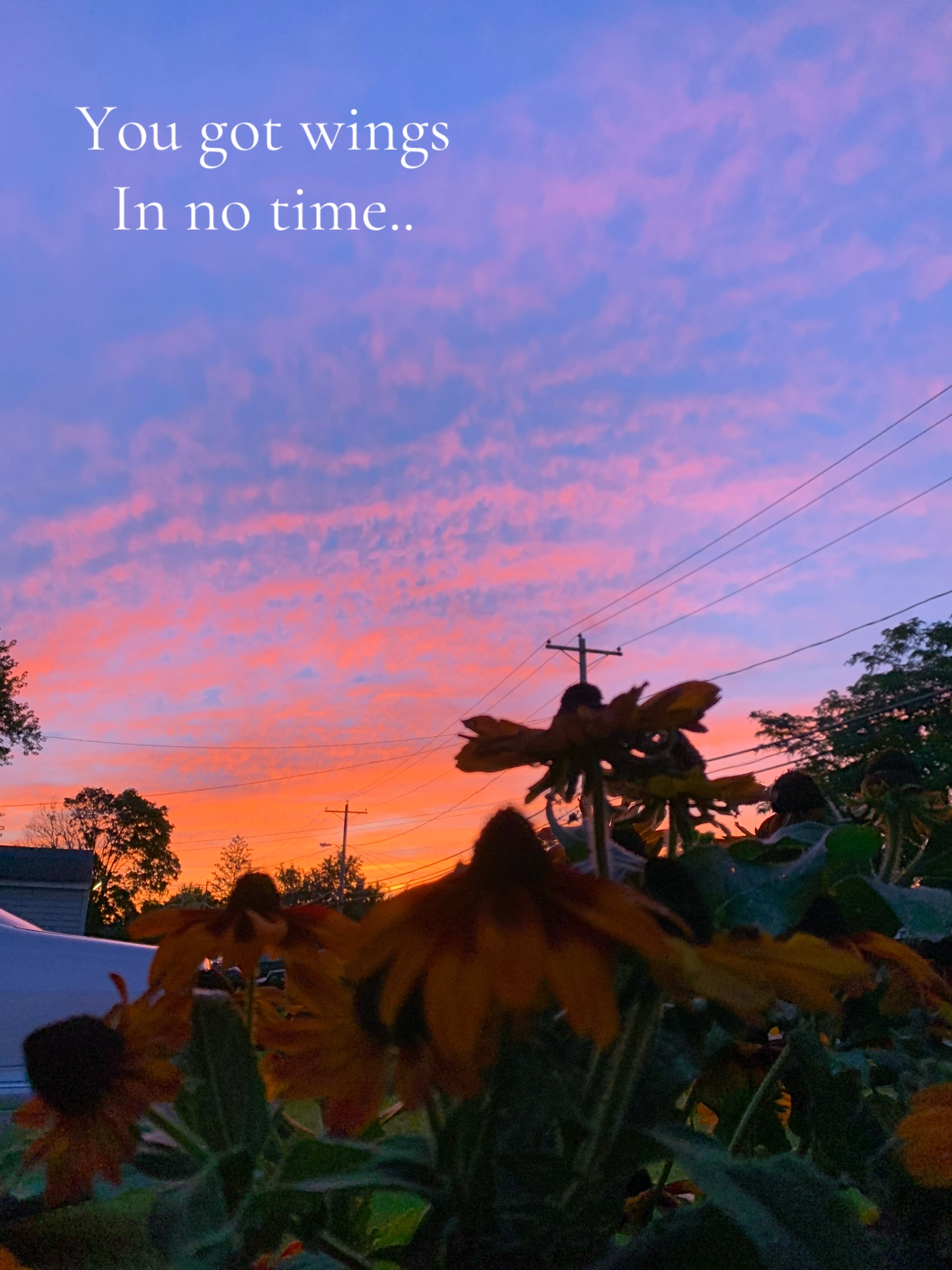 @Alli 🦋🌻🌞