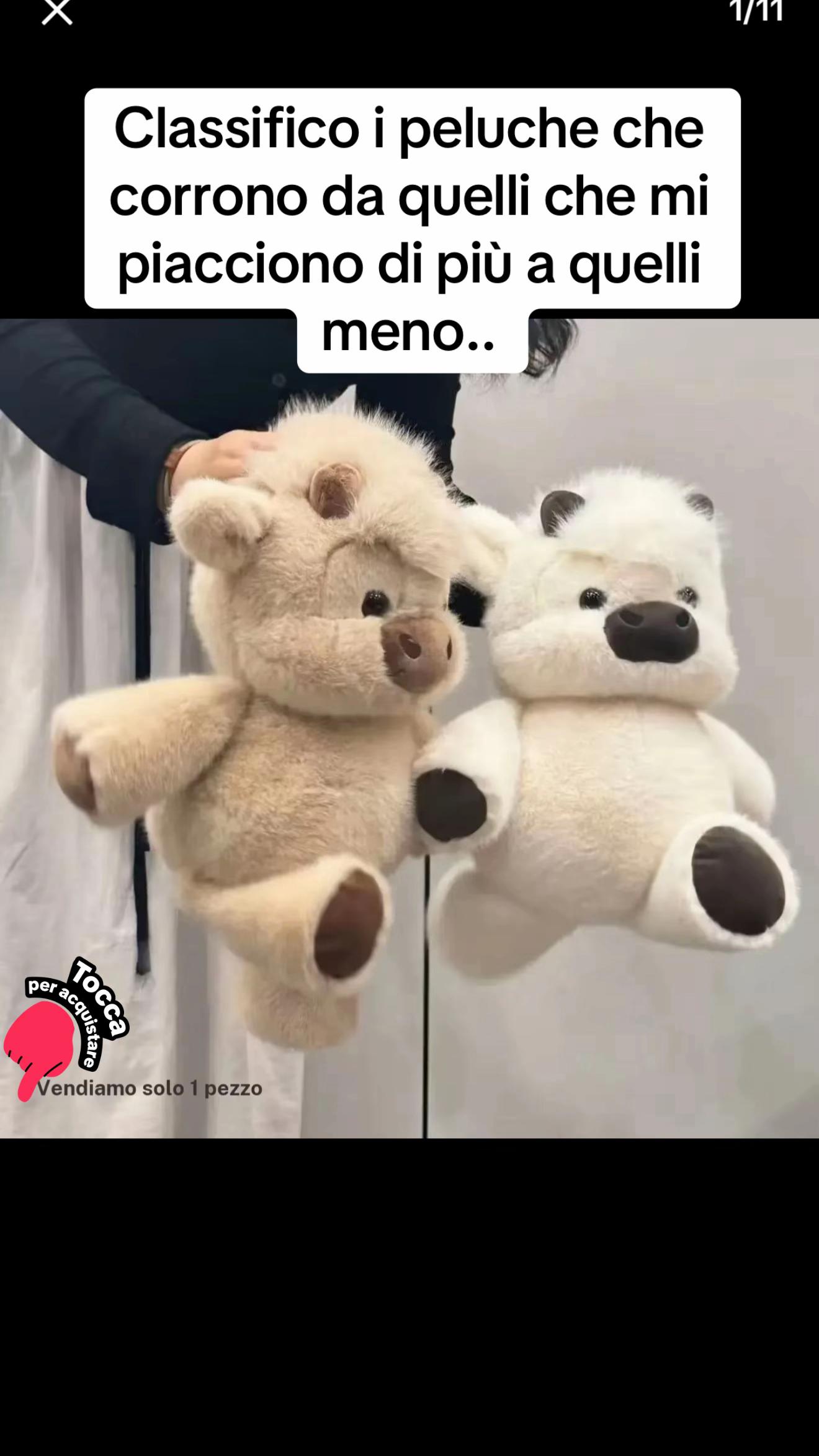 @MariaImmacolata