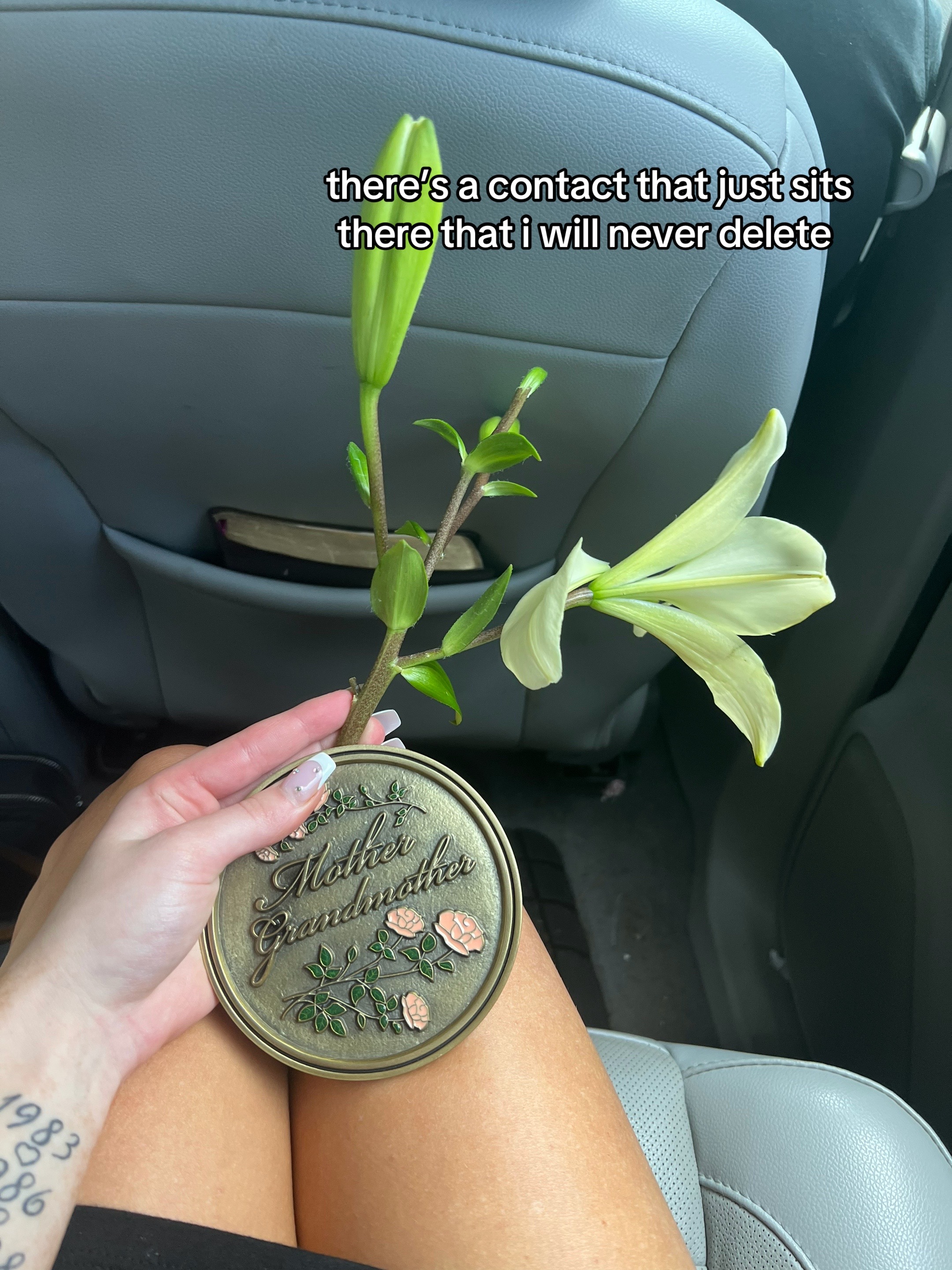 @kadence elizabeth