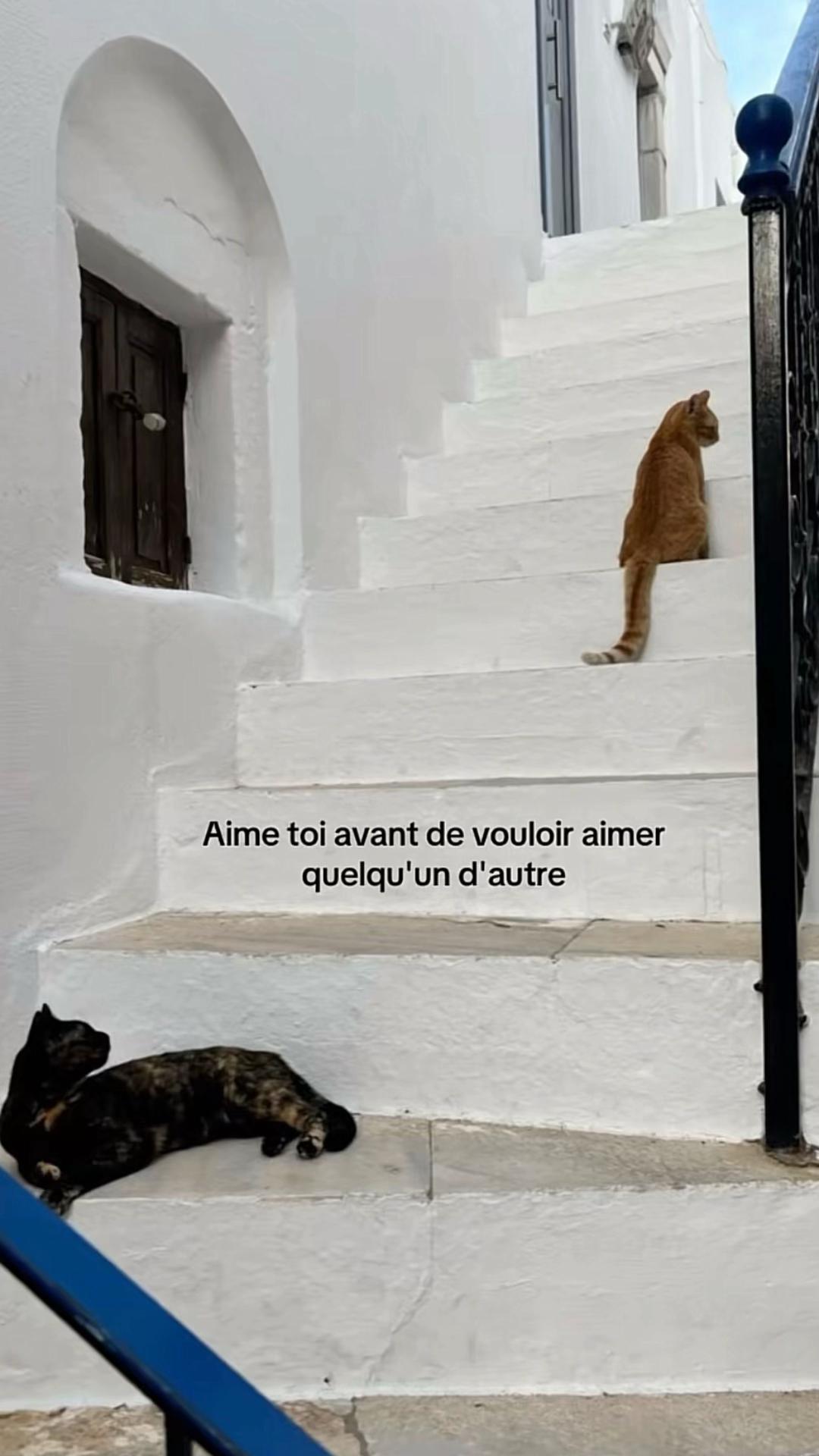 @&acute; 🎀