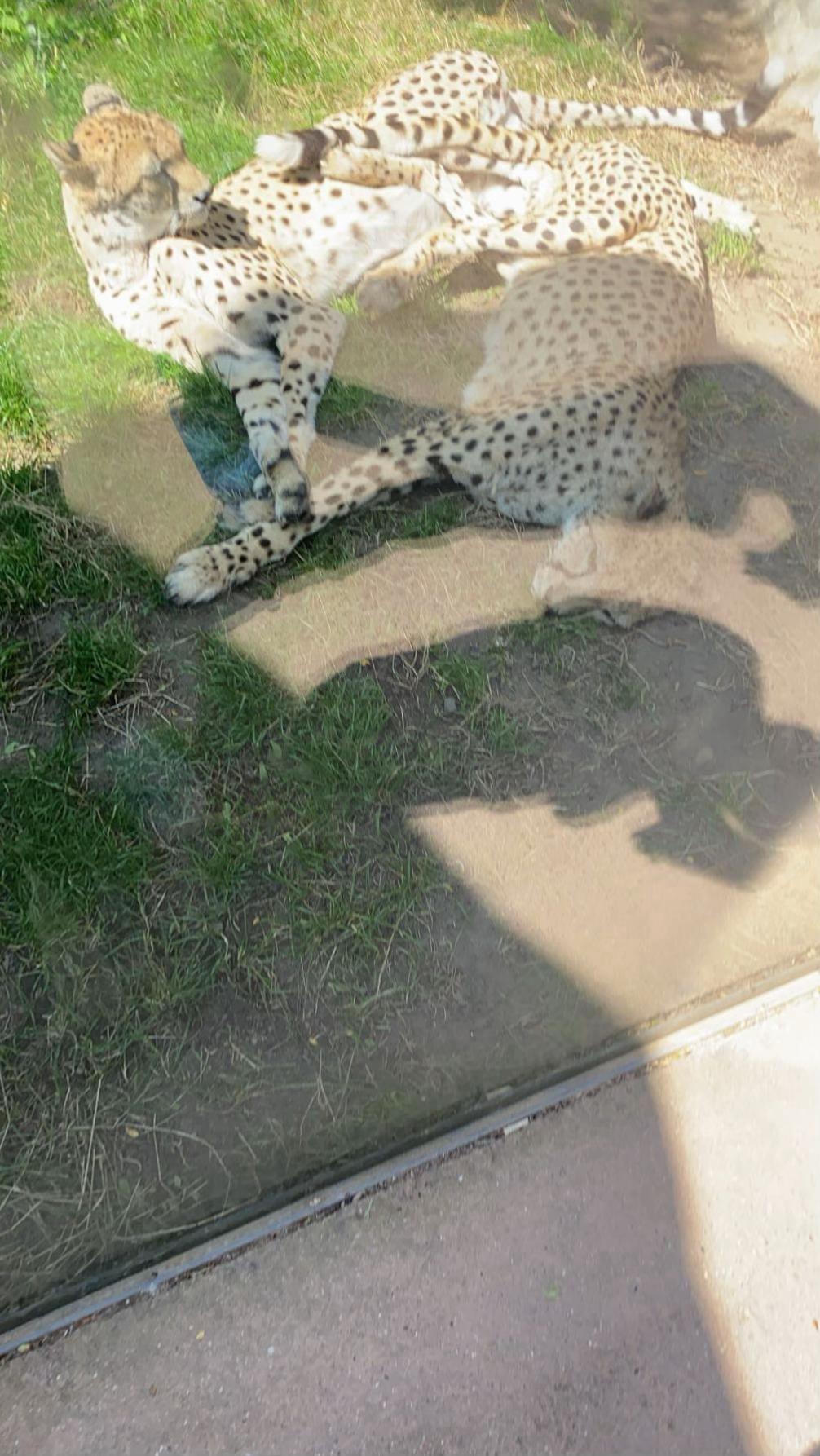 @عبدالله