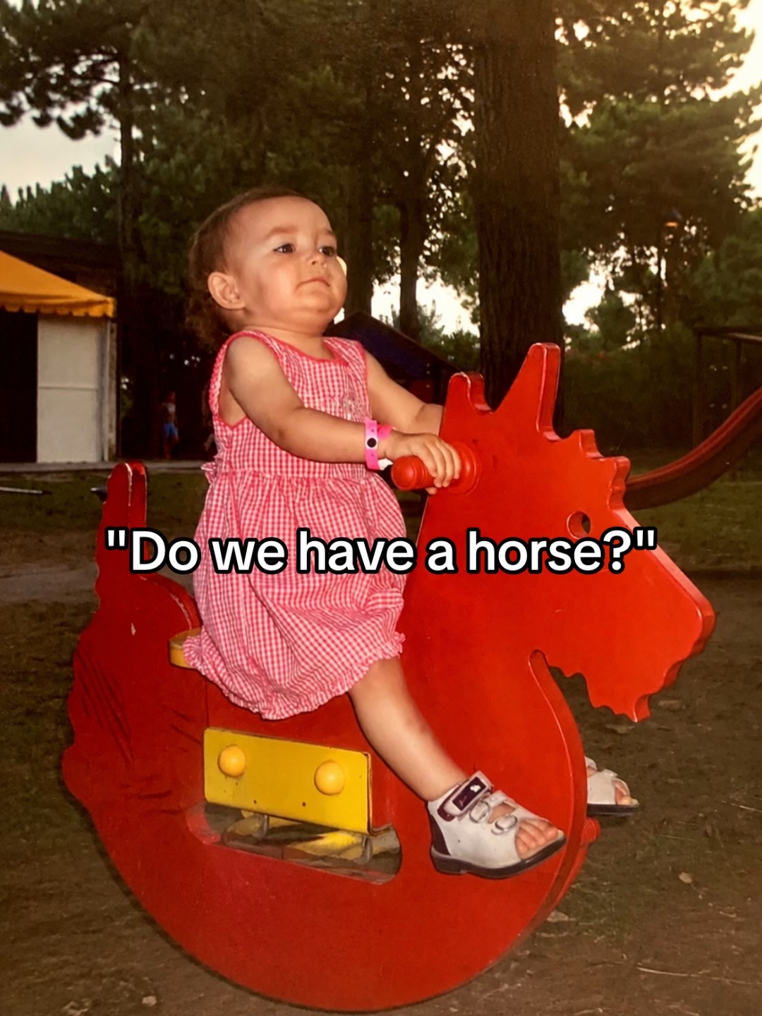@Eva & Dino 🦕
