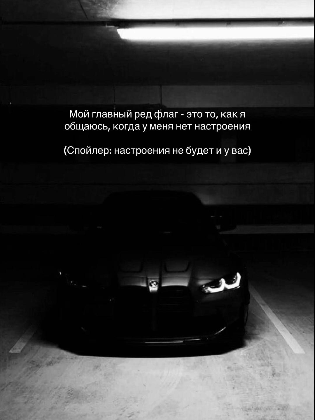 @777_koshka_777_