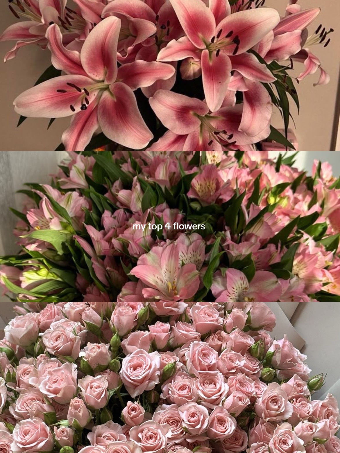 @викуша