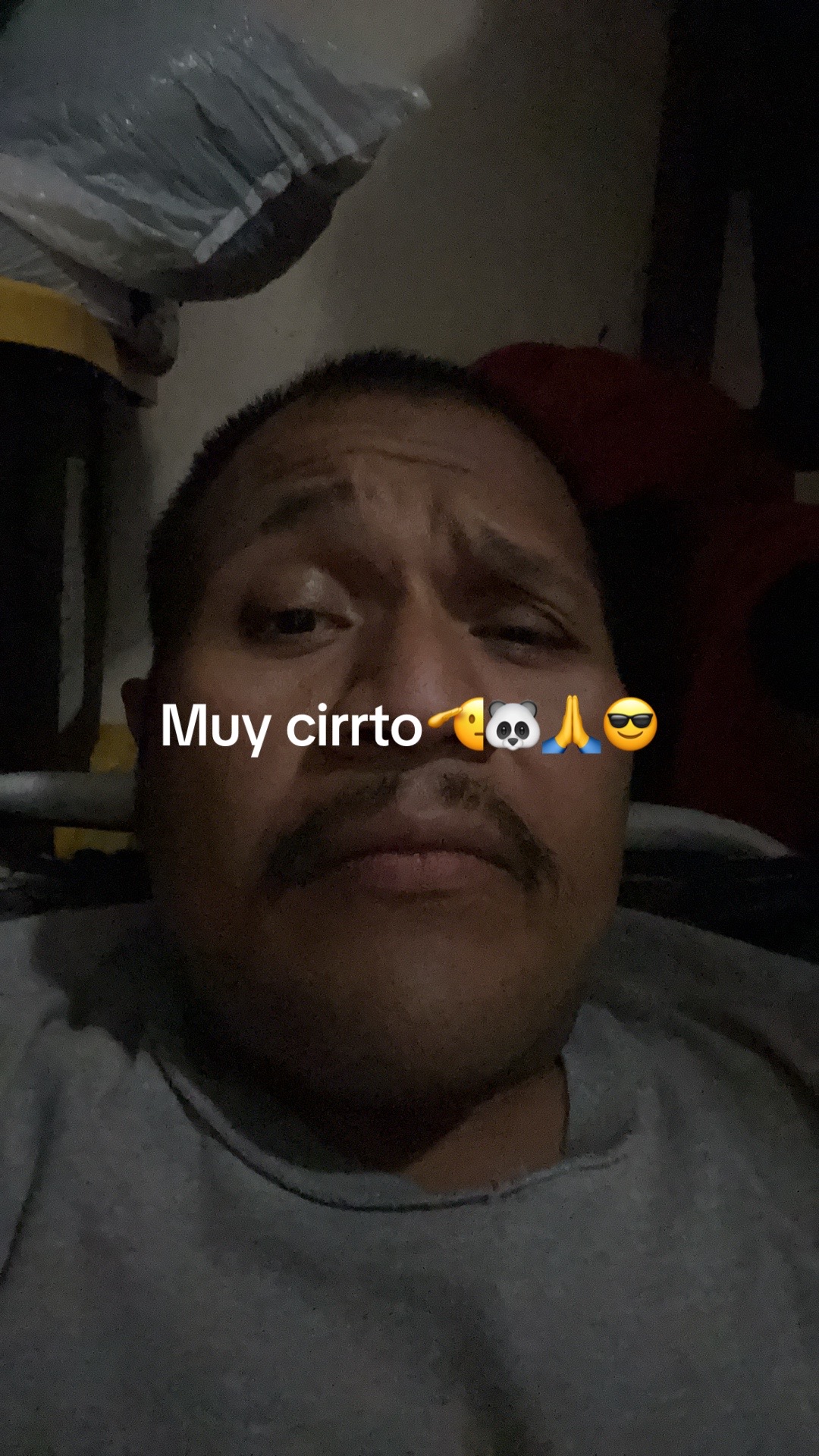 @Elpanda23🫡🐼🐺