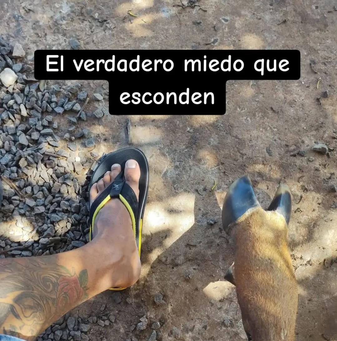 @Nova.28