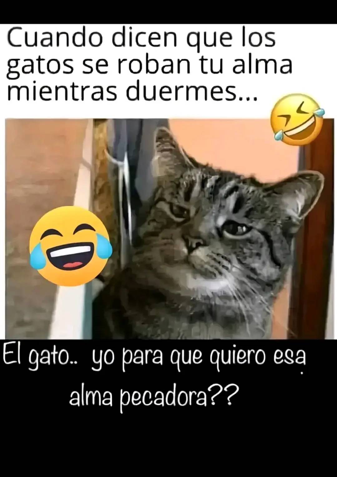 @Iris