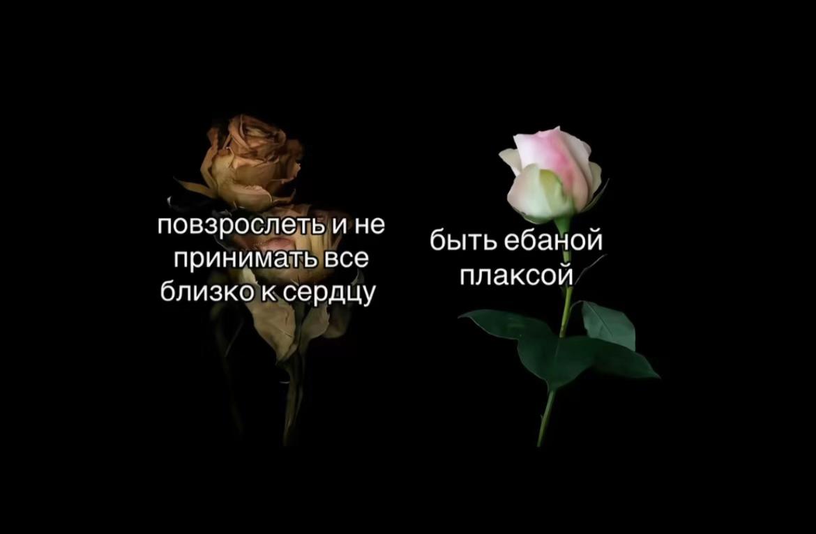 @lilll🪽