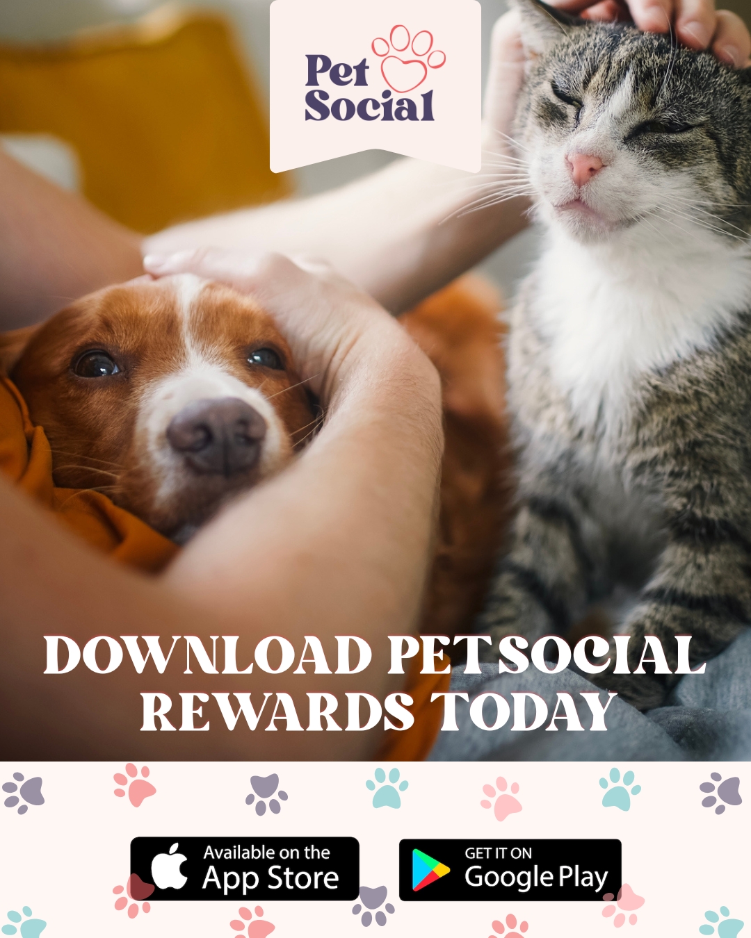 @Pet Social UK