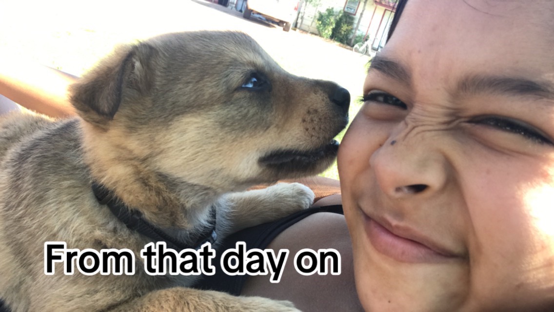 @Niela ❣️