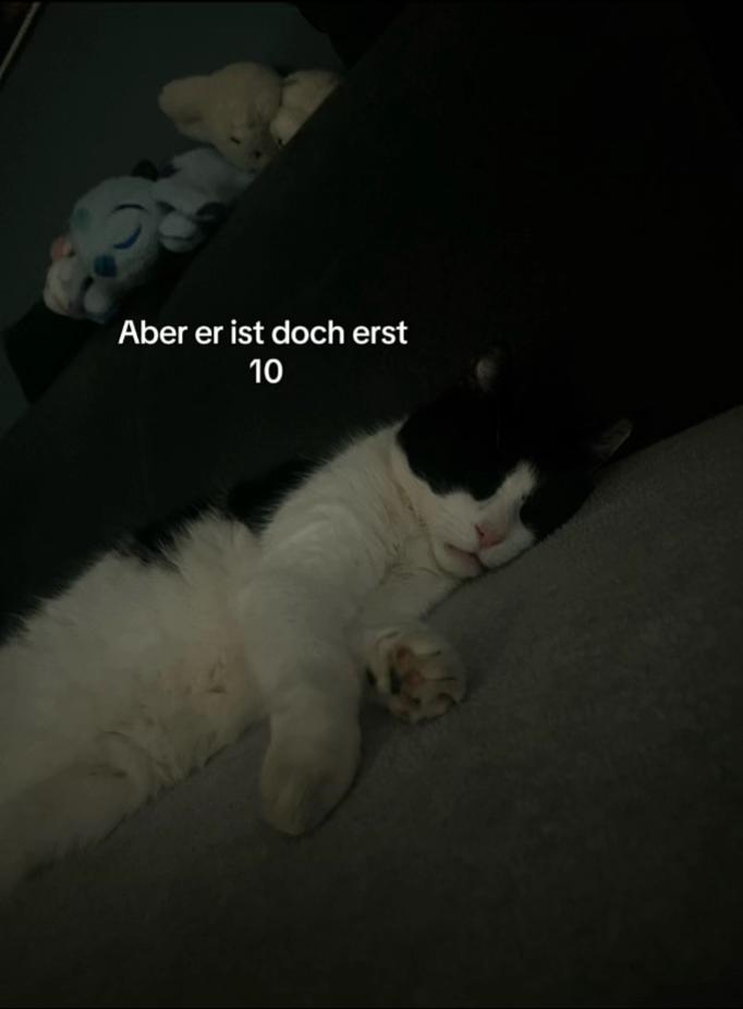 @𝓛𝓮𝓸𝓷𝓲𝓮_🇩🇪🍁