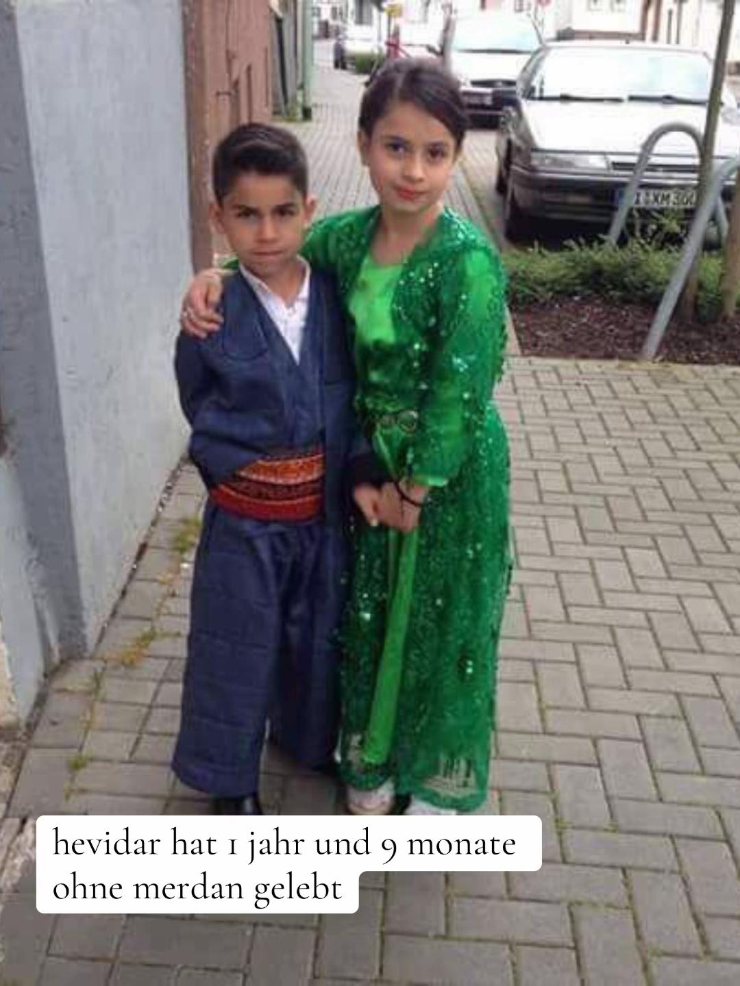 @hevidar