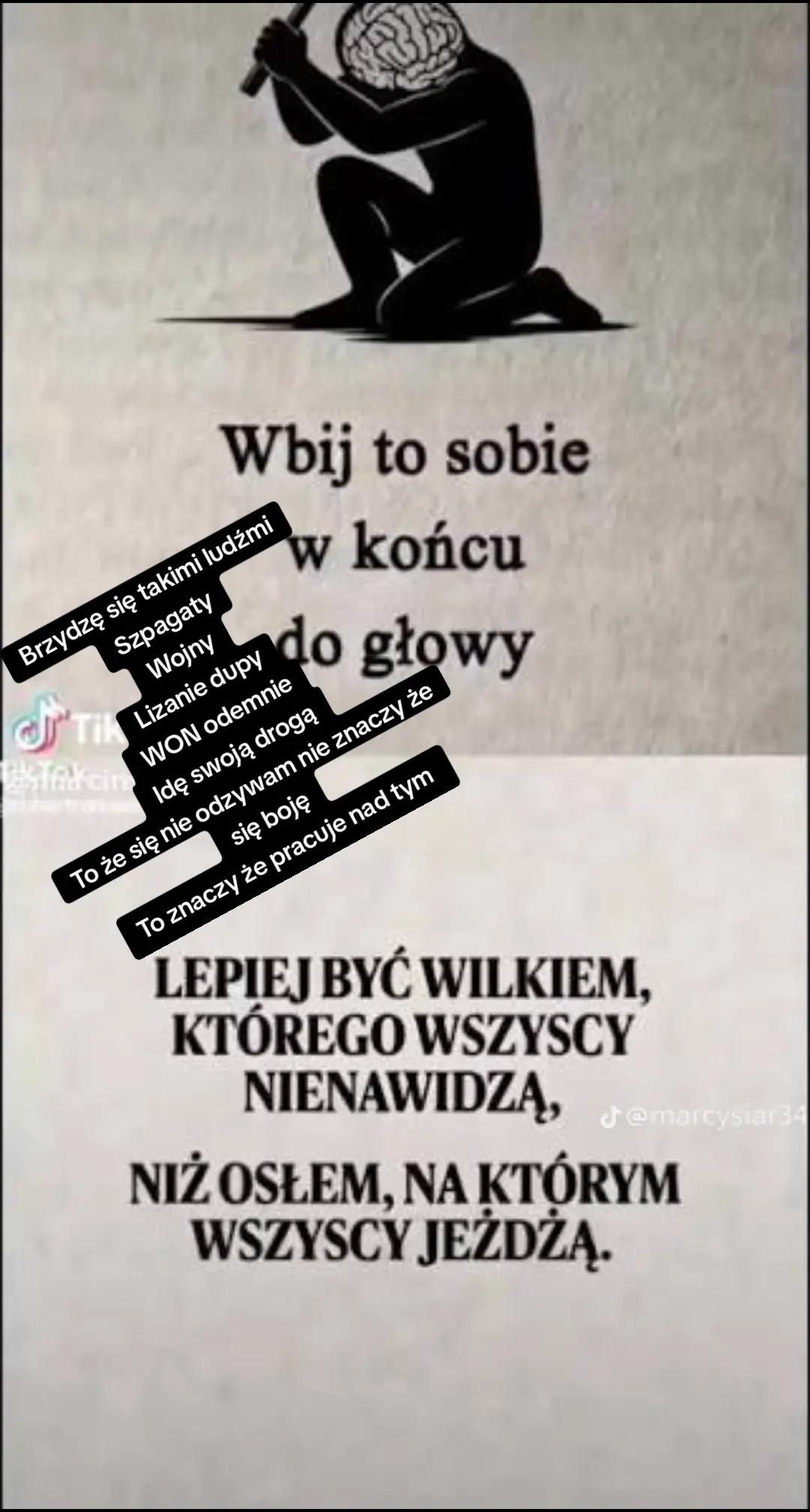 @fenix🍀z🍀popiołu🍀