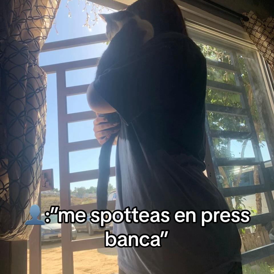 @𝐂𝐮𝐧𝐮𝐦𝐢 𝐌𝐢𝐜𝐡