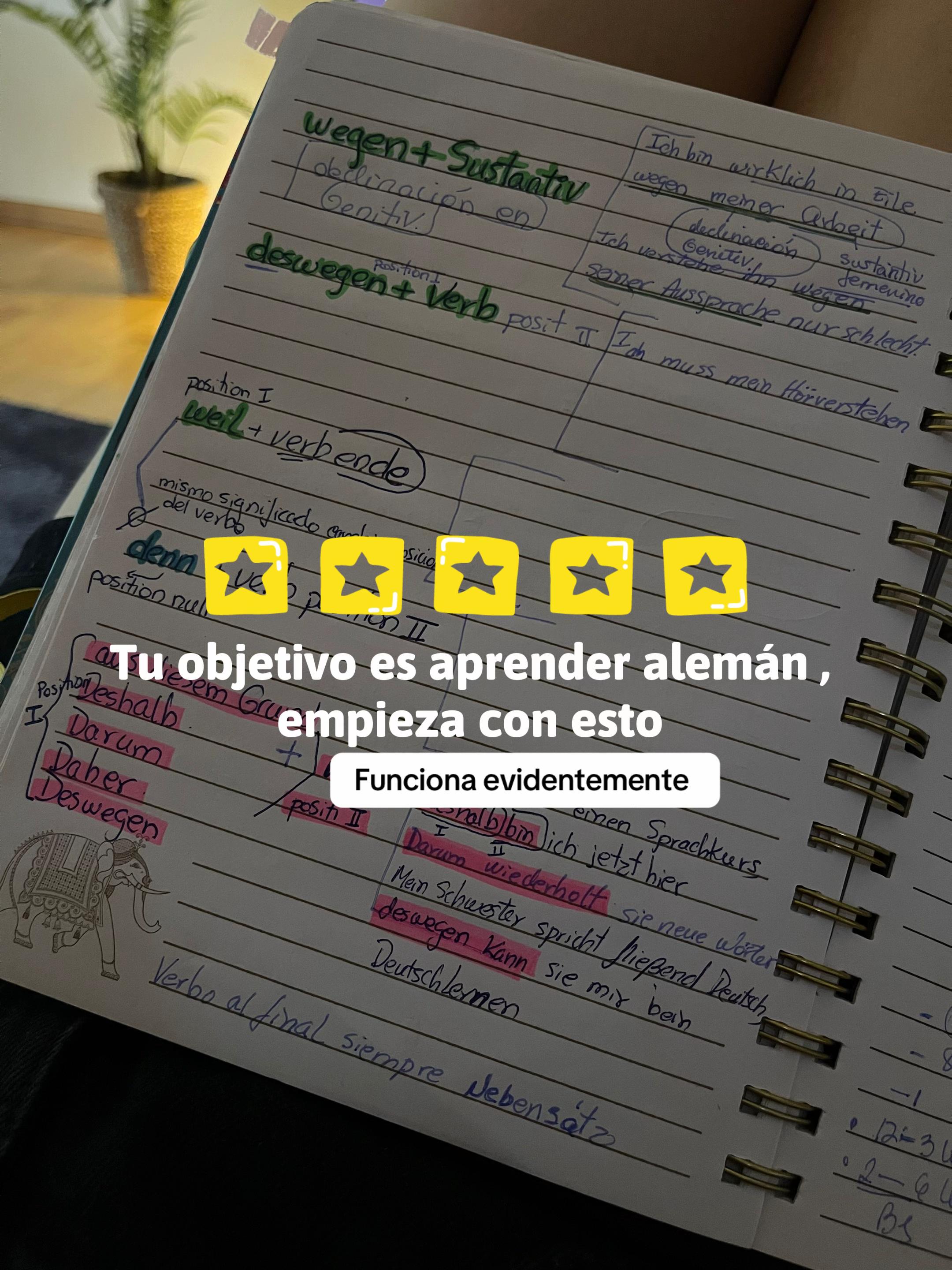 @Aprendo_aleman| ✨Nelsi