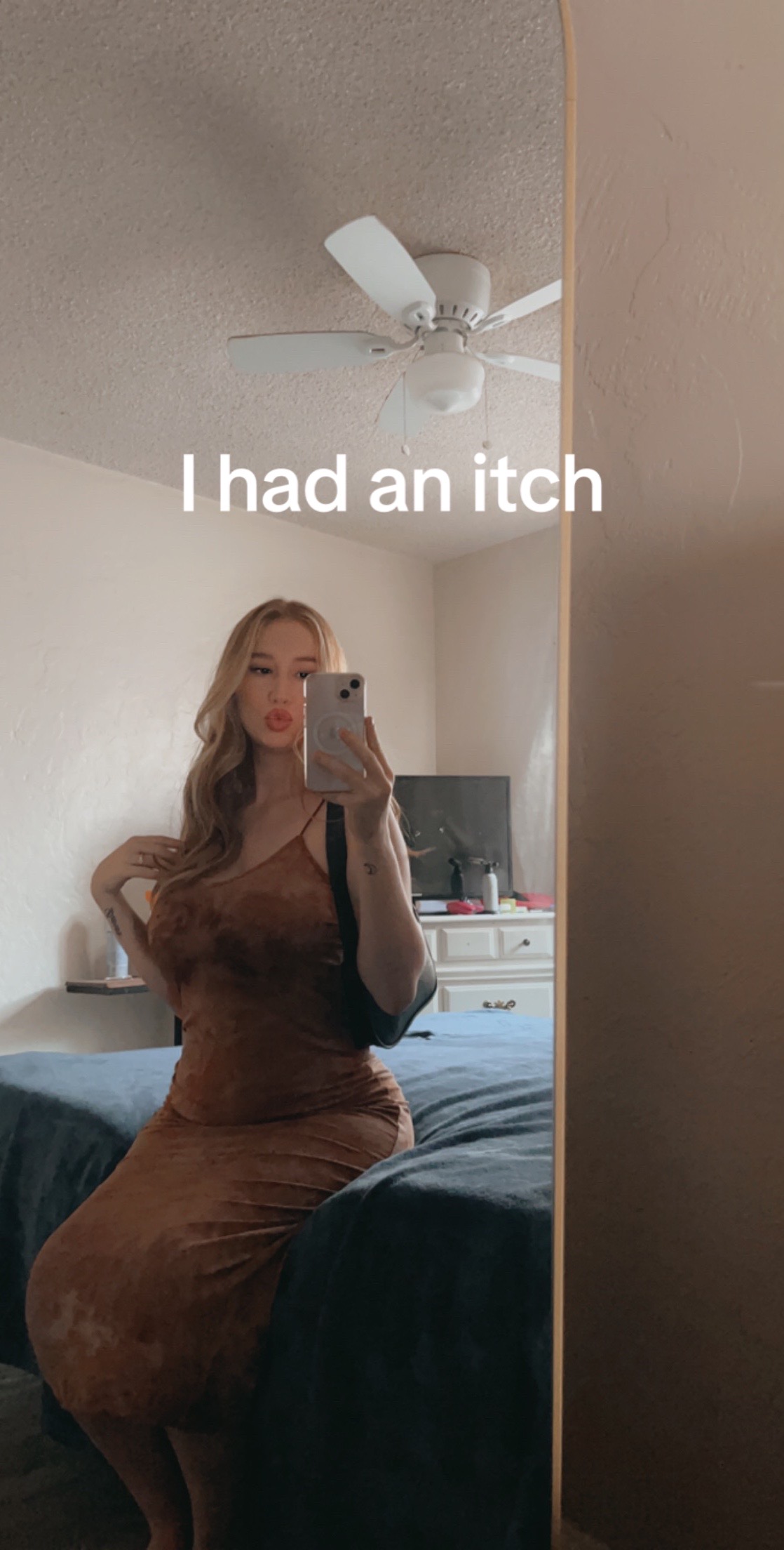 @Nova🦋