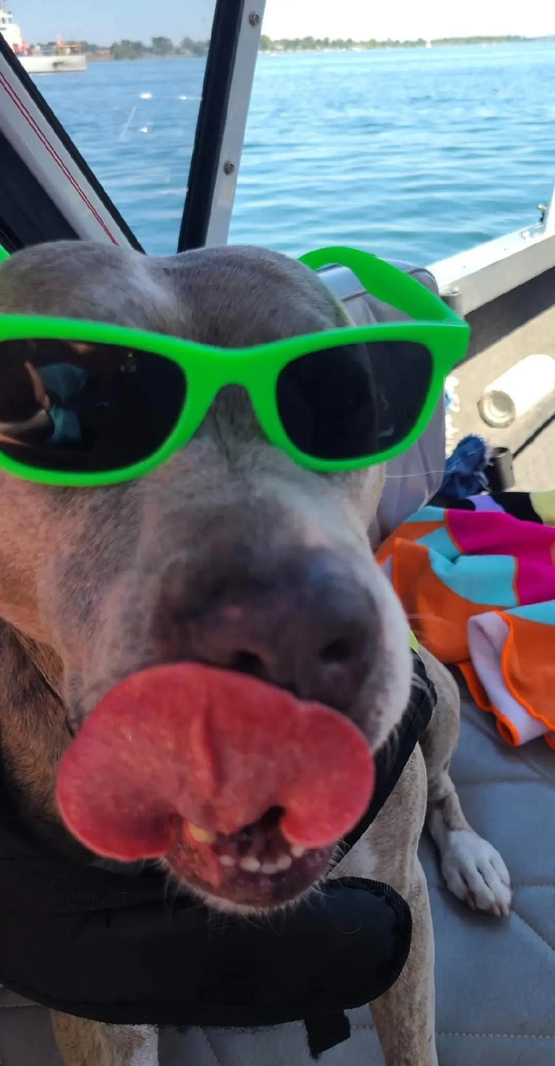 @Oatmeal 🐶🎧AKA Oaty D Luffy👒