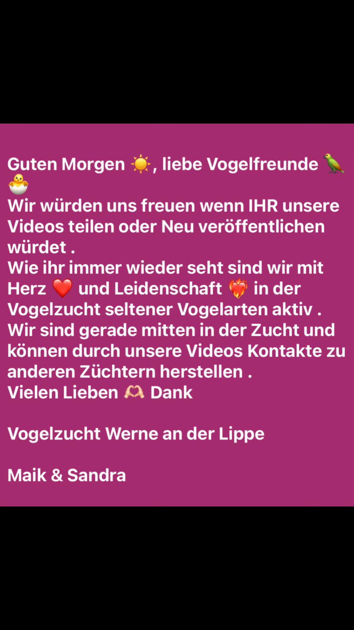 @Vogelzucht Werne an der Lippe
